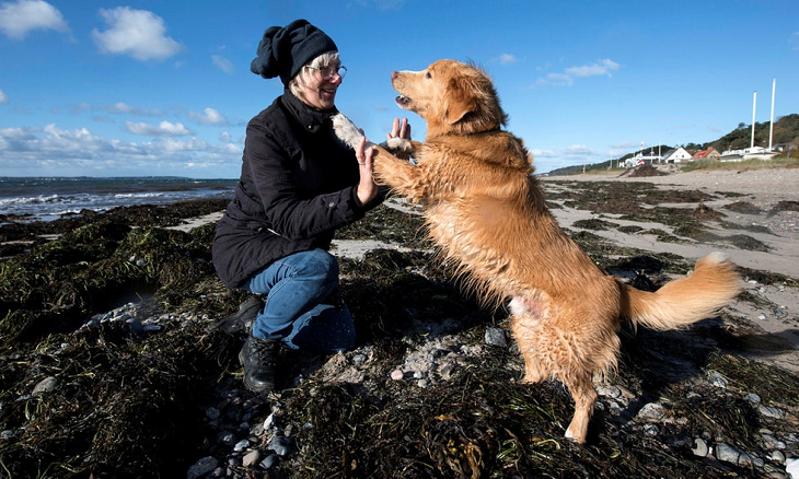 Hunden Nimbus står med tassarna mot sin matte Mariannes händer. Nimbus är ljusbrun med medellång päls. Marianne har blåa jeans och en svart sjal knuten runt huvudet. De står på en strand full med alger.