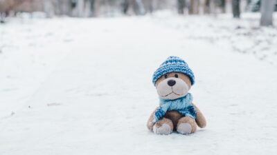 Ett gosedjur som sitter i snön