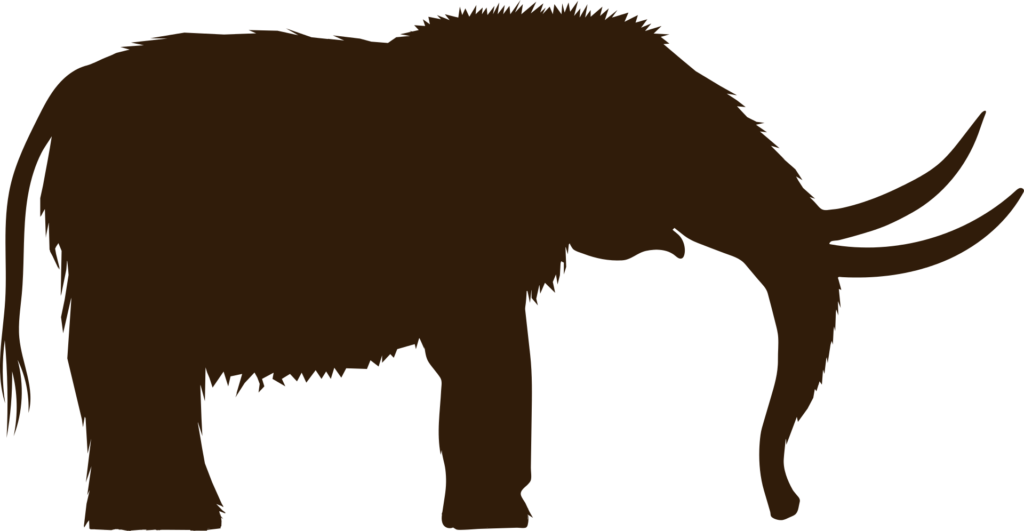 En mammut